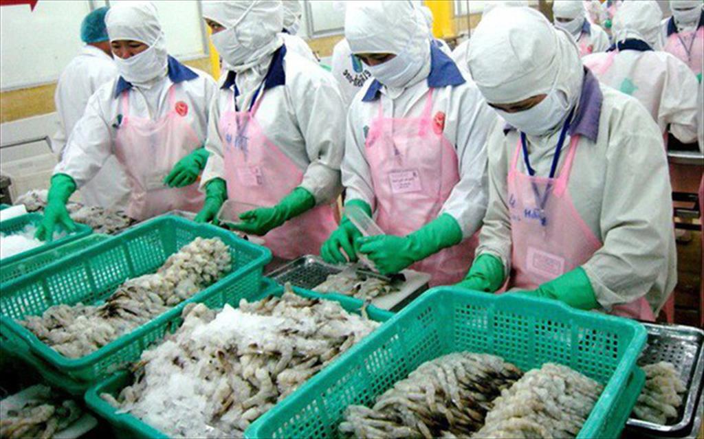 Shrimp exports rose by over 10% 