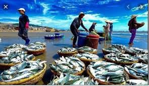 Vietnam targets to be the world leader in seafood processing and exports