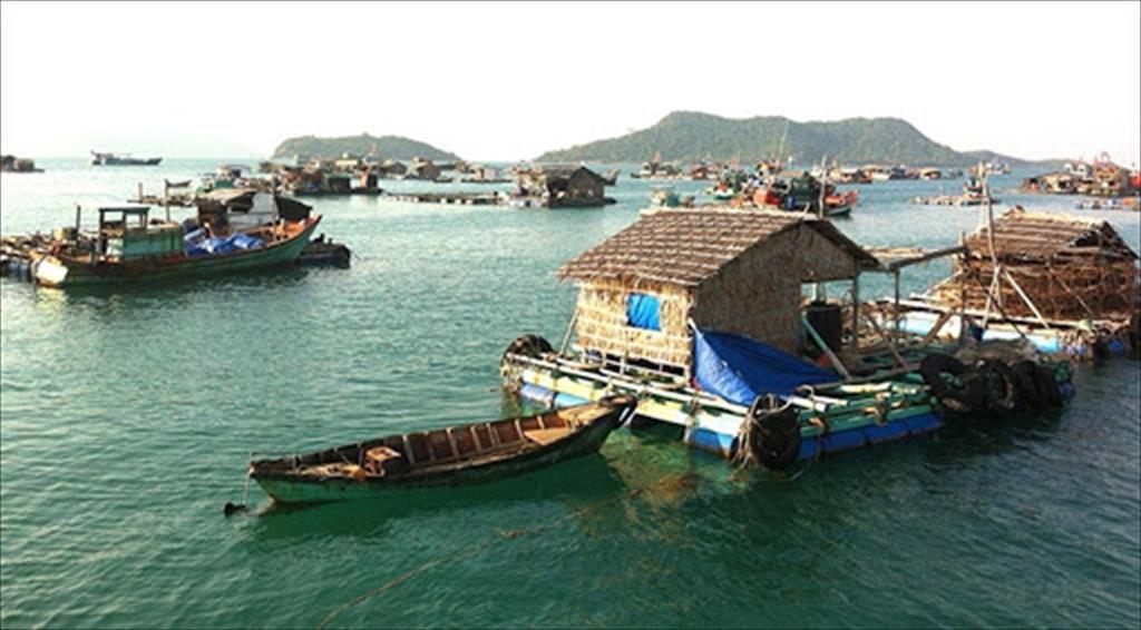  Kien Giang aims for 24% growth in marine aquaculture