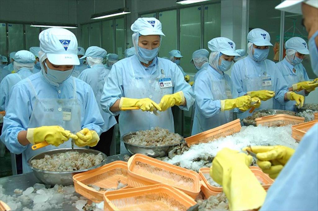 Australia and Canada -2 potential markets in the CPTPP for Vietnam seafood 