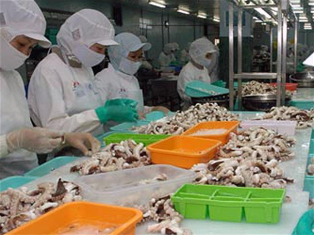 South Korea increased imports of frozen octopus from Vietnam 