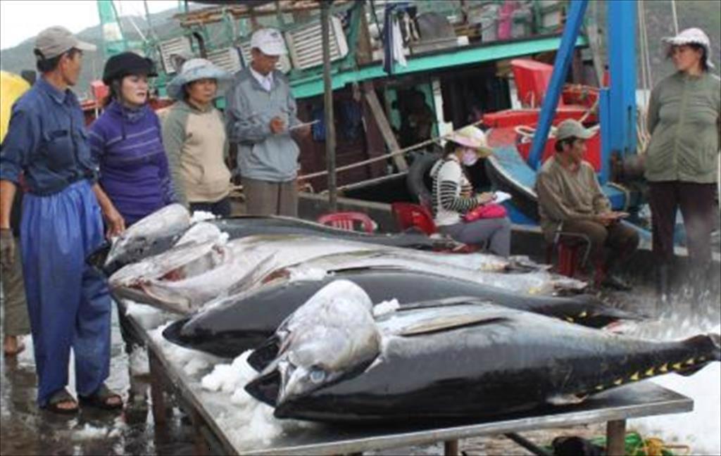 In March 2021, Vietnams tuna exports increased by 27%