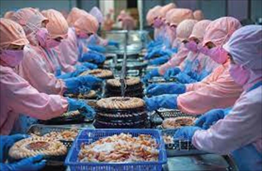 Ca Mau Seafood exports are soaring 