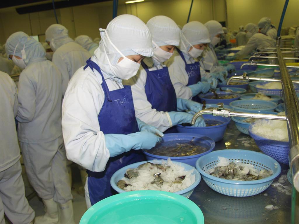 Ho Chi Minh City and the provinces of Soc Trang and Ca Mau leading in seafood exports