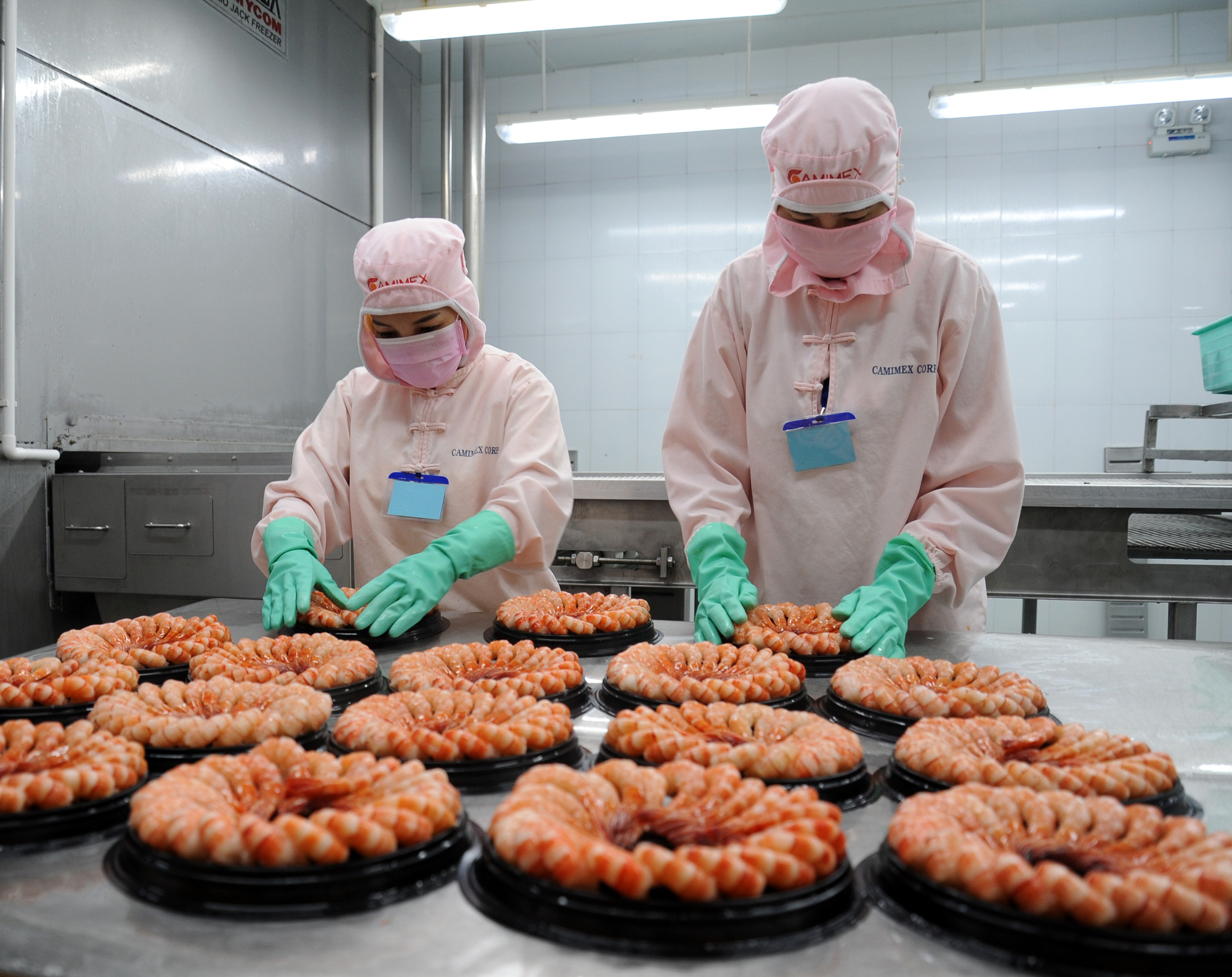 Ca Mau Province Shrimp exports in the first half of the year increased by 16%
