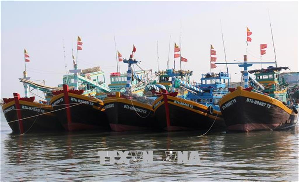 Kien Giang exerts efforts to lift EC “yellow card”