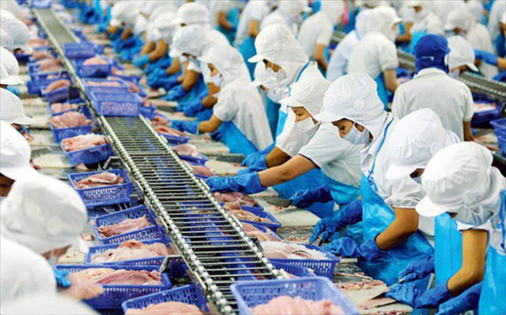 Vinh Hoan Corp Export revenue in 6 months increased by 15%
