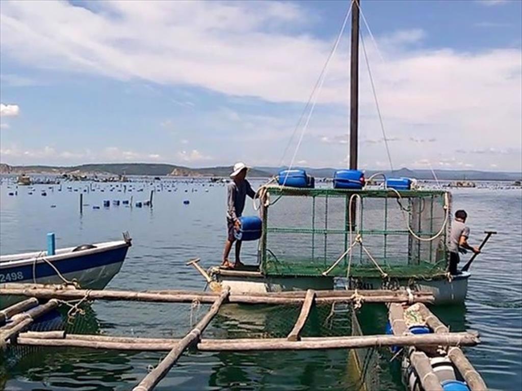 Vietnam striving to promote sustainable marine aquaculture development