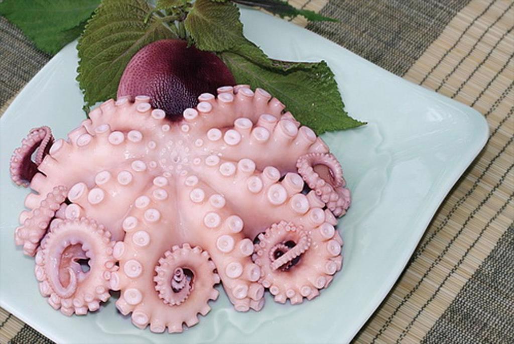 Vietnams cephalopod exports to Thailand increased by 25%