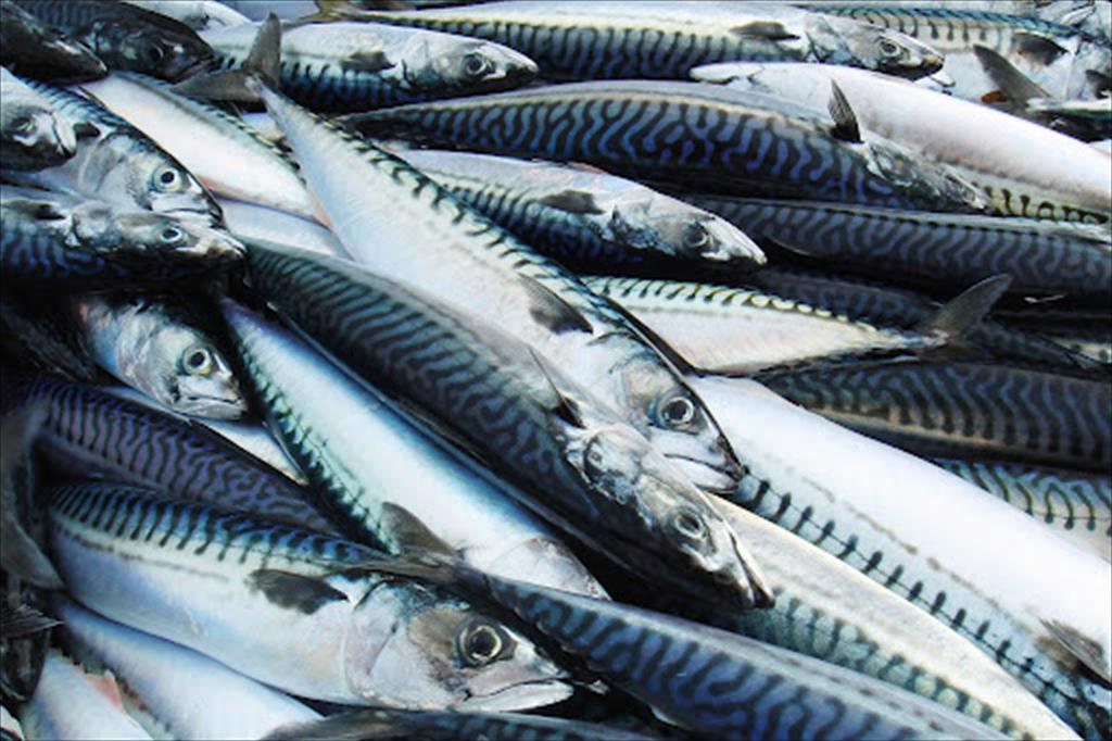 Viet Nams seafood exports in the first 7 months of 2021 reached nearly 5 billion USD