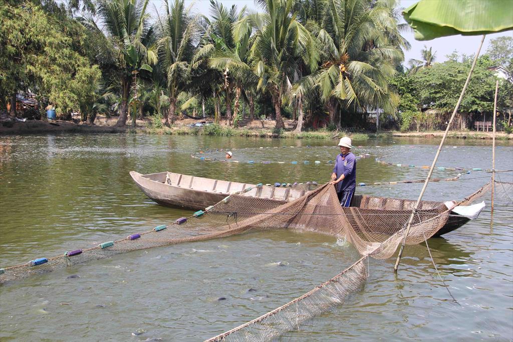 Open way for Vietnamese enterprises to diversify seafood products for export