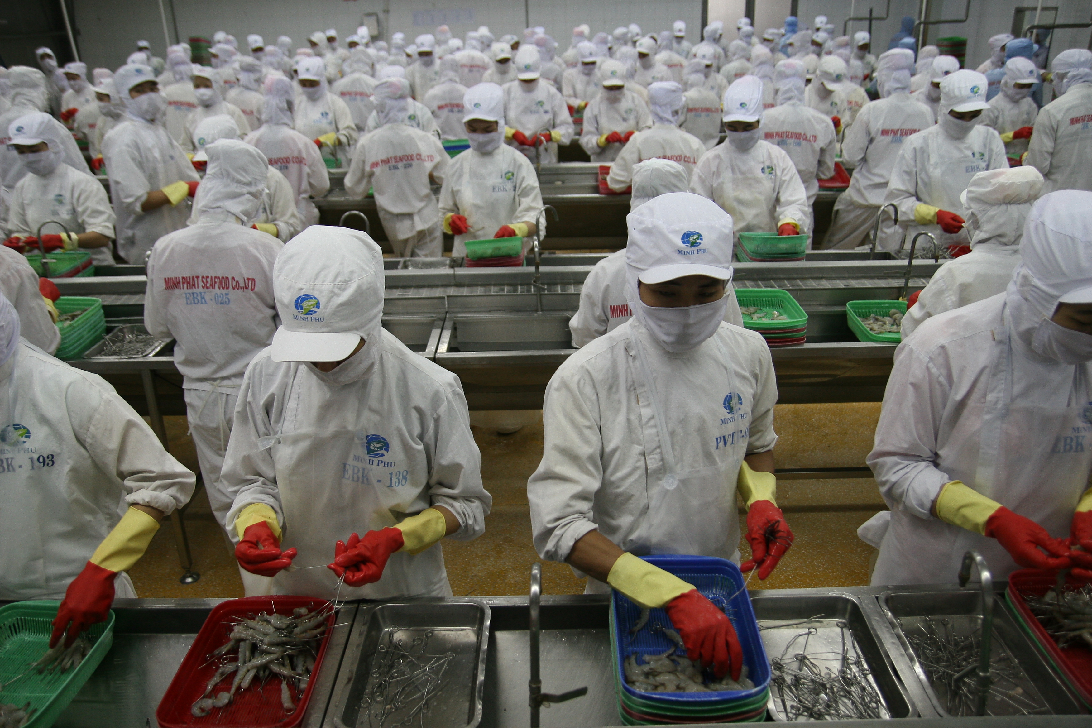 Seafood exports to markets decreased in August 2021