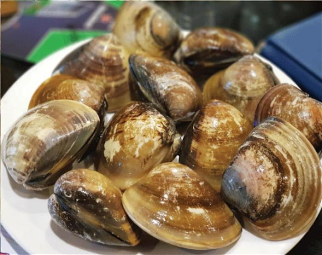 Vietnams clam exports to the EU in the first 8 months of 2021 increased by 33%