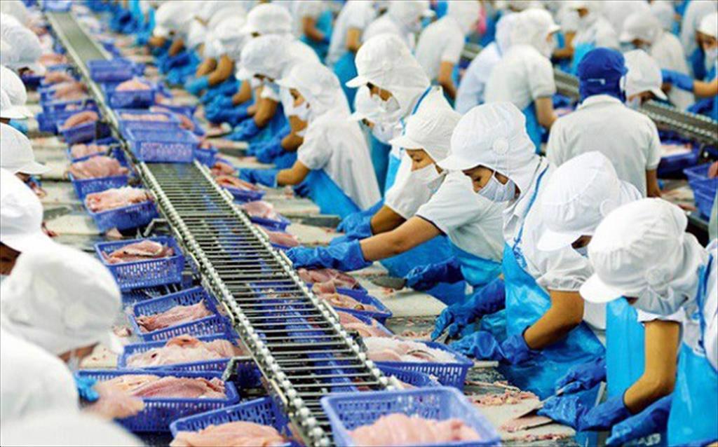 Vinh Hoan Corp Revenue in the third quarter of 2021 increased by 17% thanks to the US market