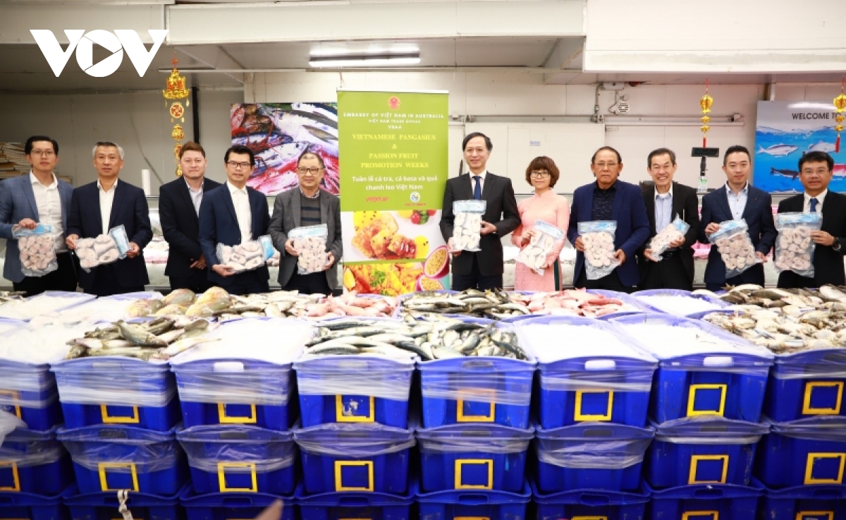 Vietnamese pangasius products are consolidating and creating a brand in Australia