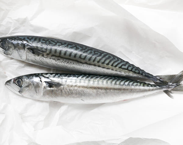 Viet Nams seafood exports to the Philippines increased more than 5 times in October 2021