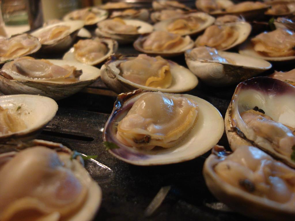 Bivalve molluscs exports to the EU will continue to increase
