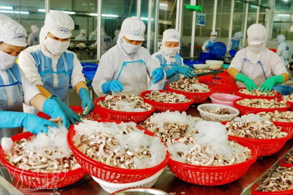 Viet Nams seafood exports in November recovered strongly by 23%