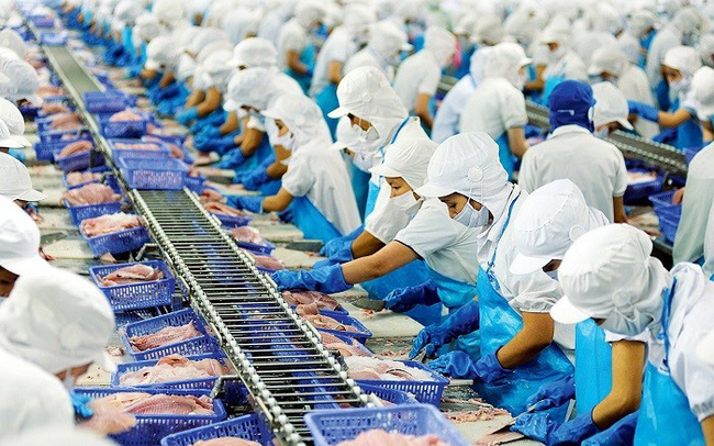 Vinh Hoans exports increase sharply, pangasius prices are forecast to continue to increase in 2022
