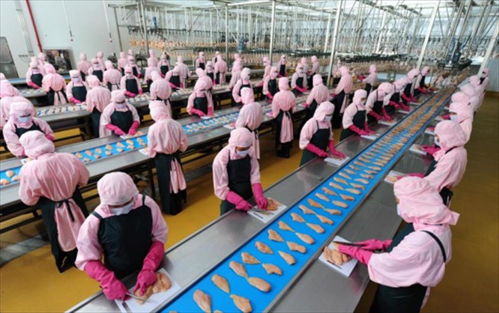 Viet Nams seafood exports in 2021 has reached over US$8.9 billion