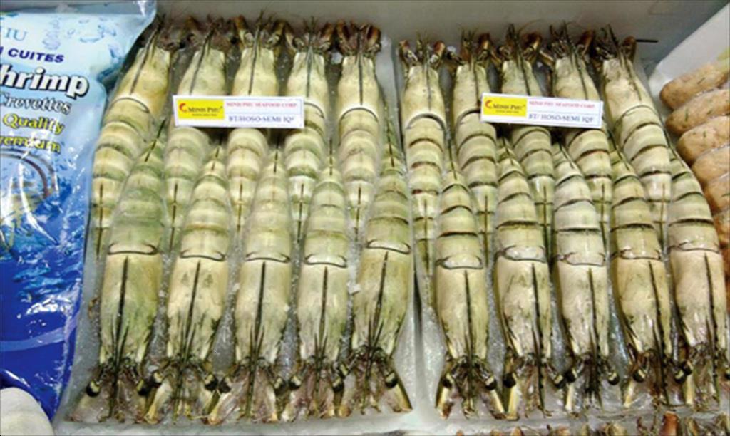 MINH PHU SEAFOOD CORP Acceleration and expectation for year-end orders