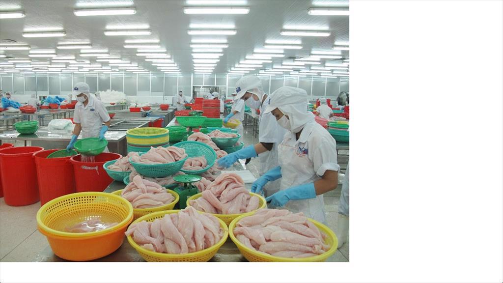 44% increase in Vietnams seafood exports in January - signaling a prosperous year