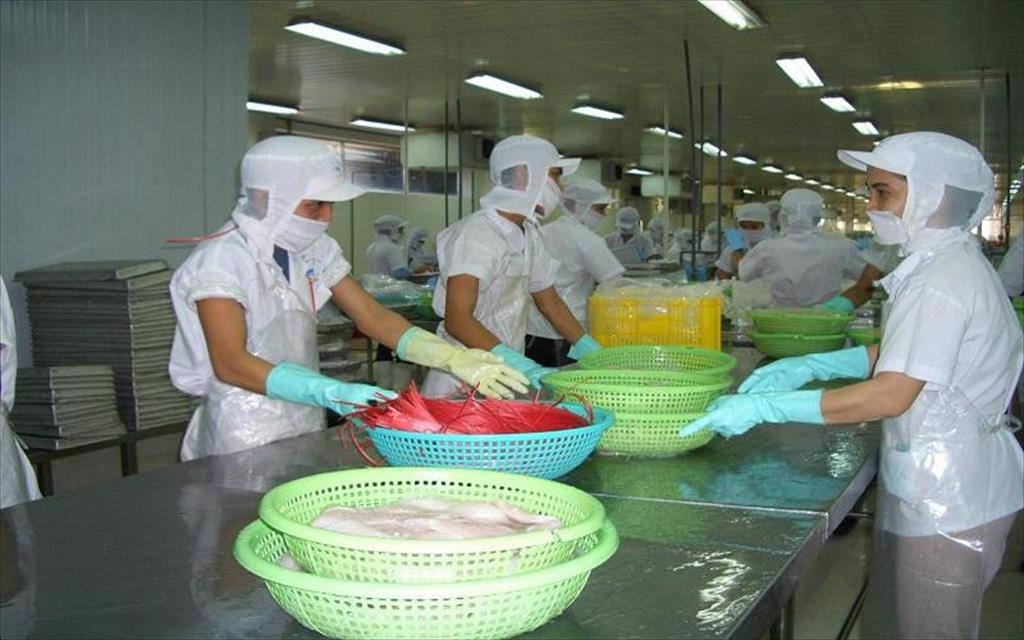 Vietnamese exports to China are fluctuating, which challenges prediction with certainty