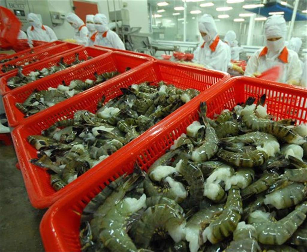 Seafood exports in 2022 Optimistic with a target of exceeding 9 billion USD
