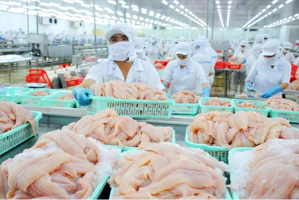 Video Vietnam seafood exports in Jan. 2022 increased by 44% - signaling a prosperous year
