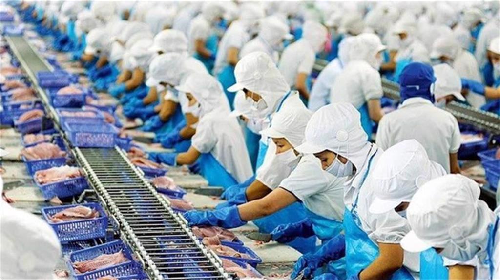 Vinh Hoan Corp (VHC) Share price is at a record high, Q1 total revenue increased by 80%