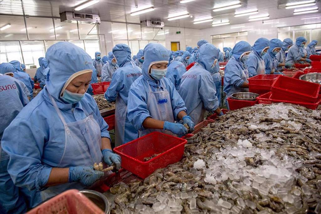Seafood enterprises with the opportunity to accelerate