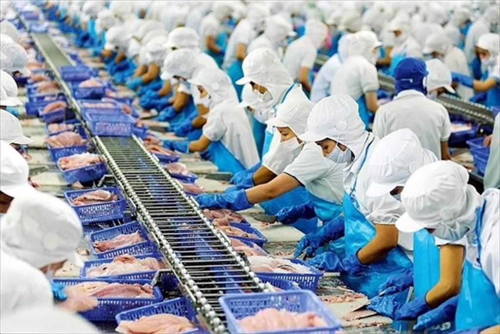 Seafood exports to China grew strongly despite the Zero COVID policy and lockdown of many big cities