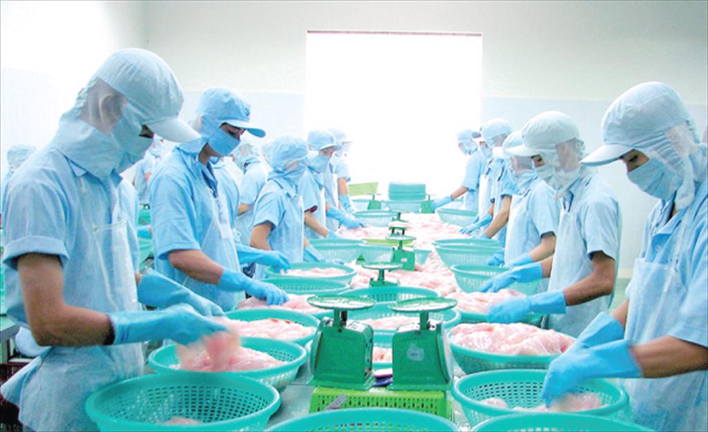 CL-FISH CORP Focusing on pangasius farming and investing in aquatic feed processing plant in 2022