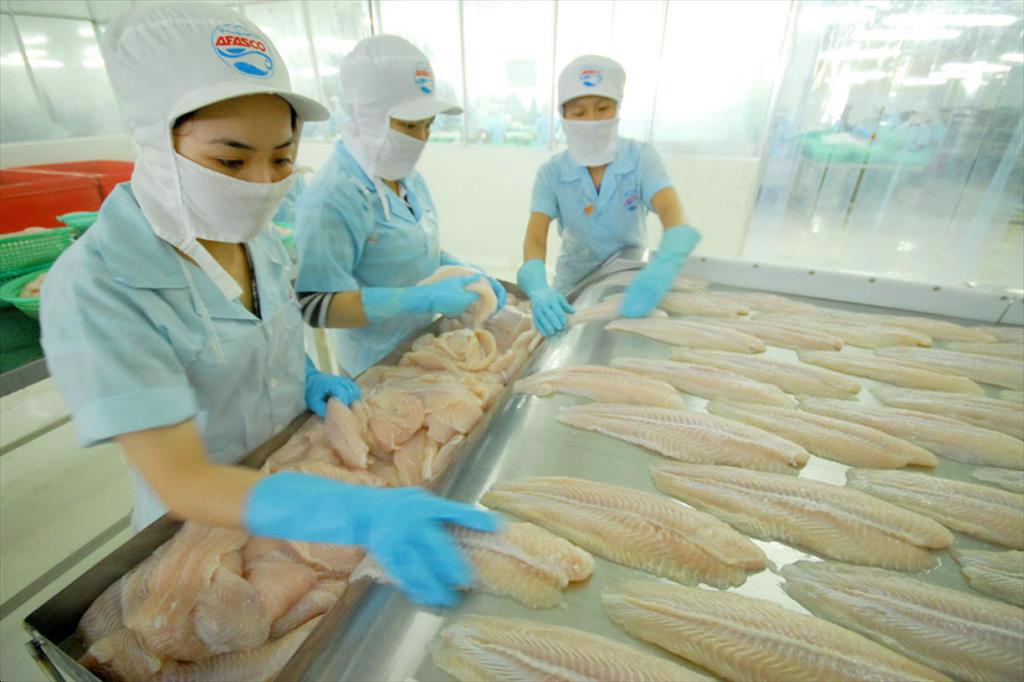 Vietnam pangasius exports to Canada increased by 69%