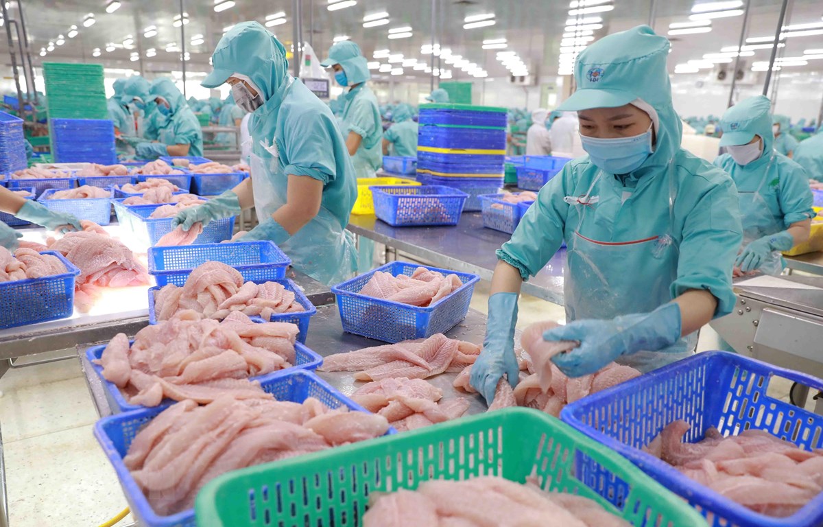 China and the US continue to be the main drivers for Vietnam seafood exports in QII2022