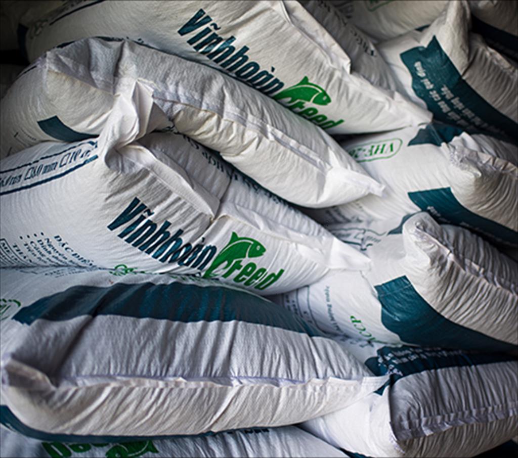 What does Vinh Hoan expect from his return to the aquatic feed segment