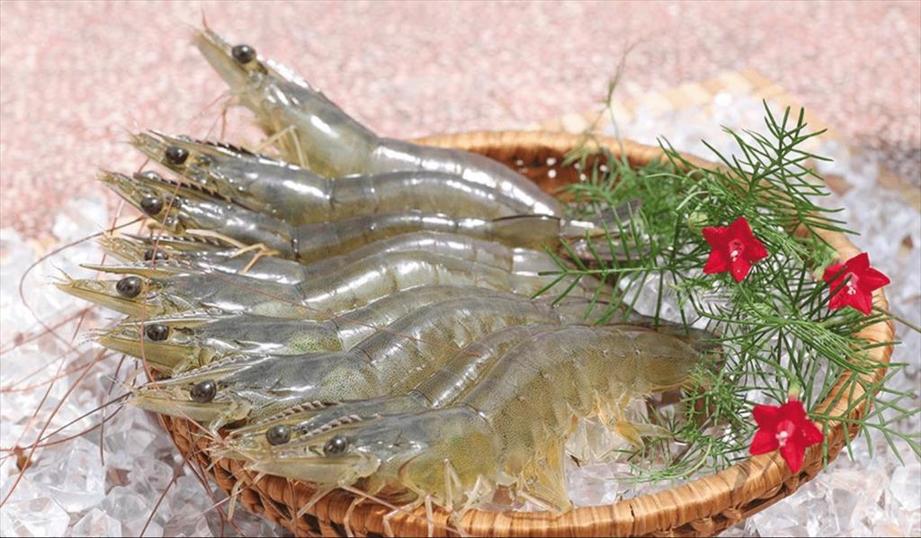 MINH PHU SEAFOOD CORP The goal is to win 25% of the world shrimp market share by 2045