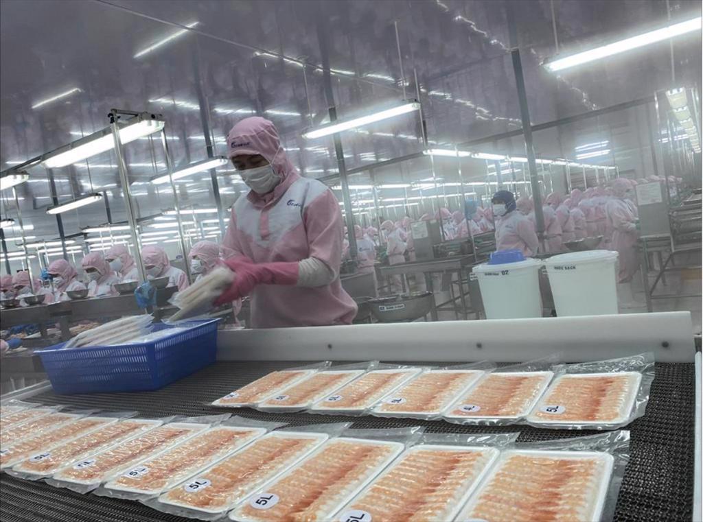 Vietnam seafood exports to the EU market increased by 45% in the first 5 months of 2022