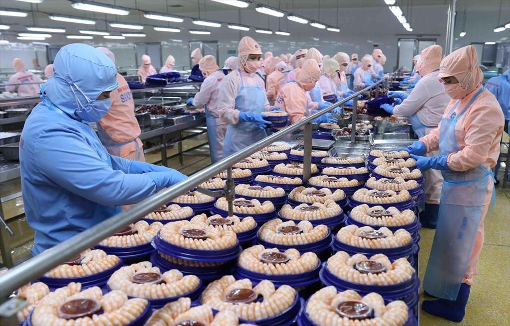 Vietnam seafood exports to the US reached more than 1.1 billion USD