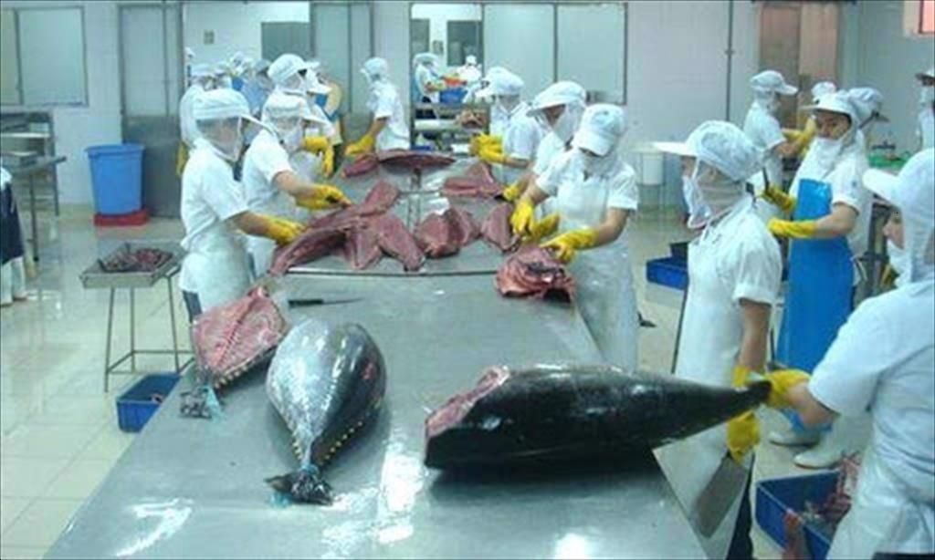 Vietnams tuna market share in Chile increased sharply