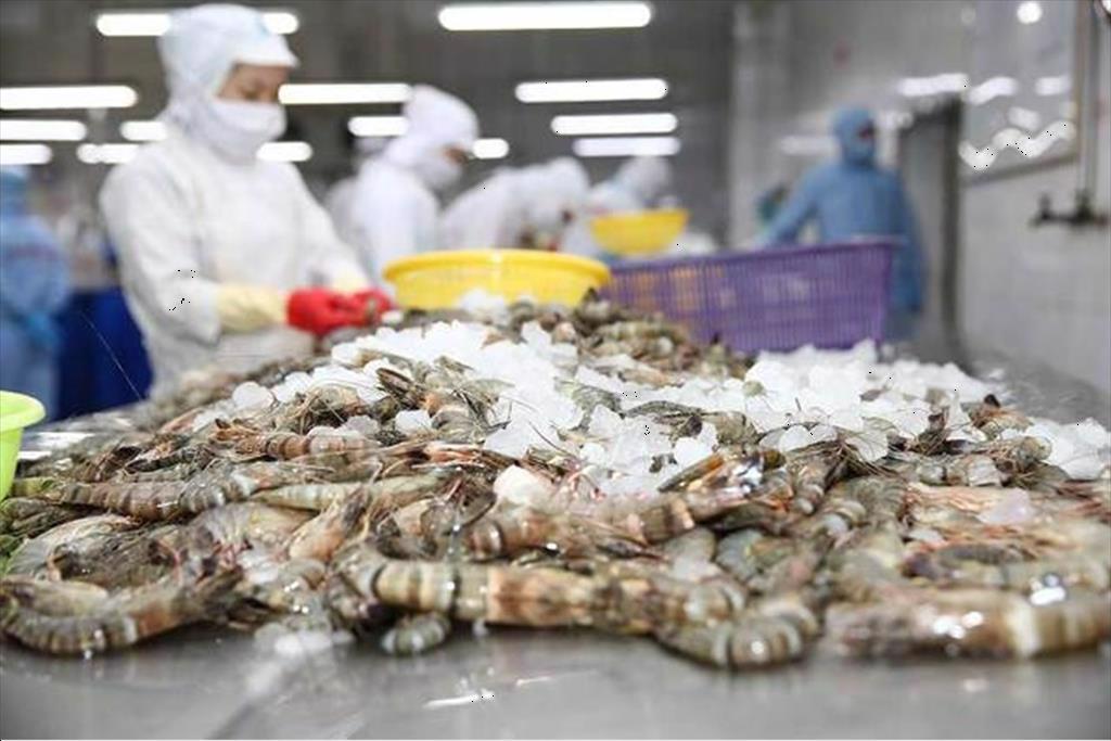 Vietnam’s shrimp exports  in June 2022 slow down