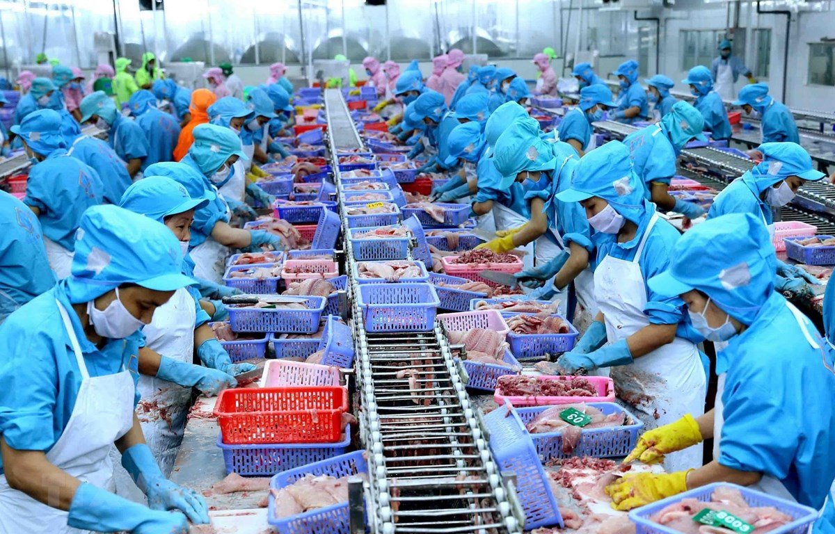 Vietnam seafood exports in July slowed down, reaching less than 1 billion USD