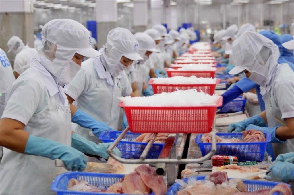 Mexico – The highlight of Vietnam pangasius exports in 2022