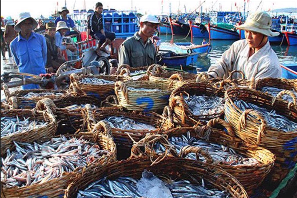 Ben Tre’s fishery production is estimated at over 17,000 tons in July 2022