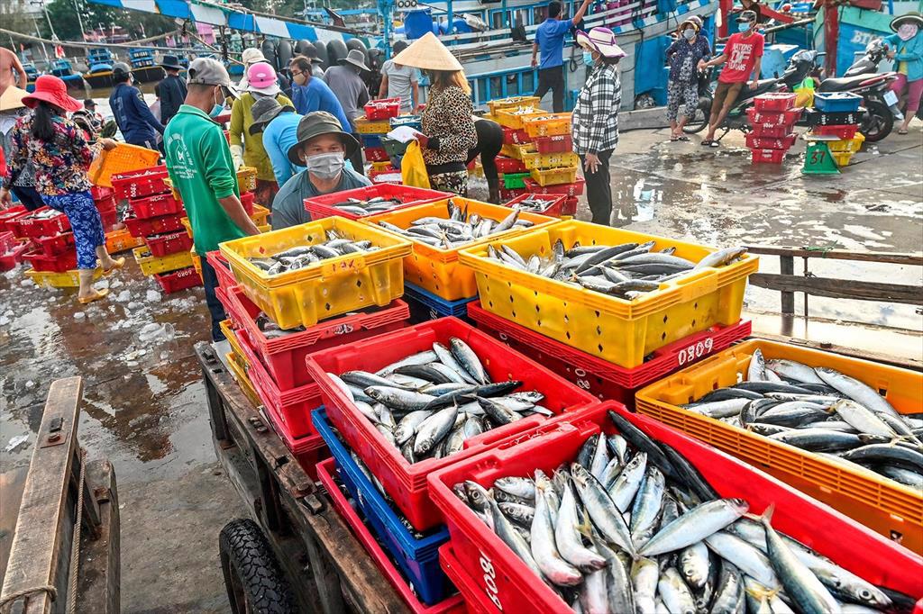Binh Thuan Seafood exports prospering again 