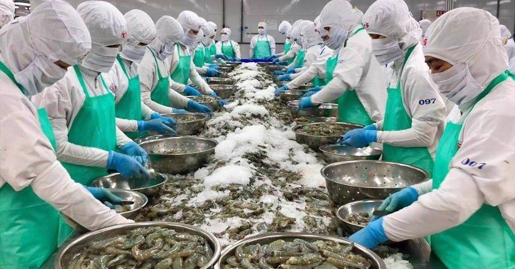 Shrimp exports in September 2022 Increased in Asia, decreased in US and EU markets