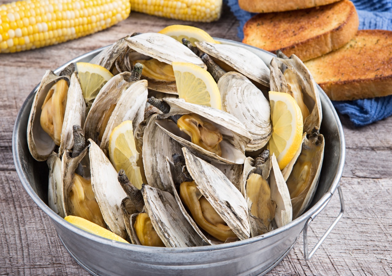 In 2022, clam exports can bring in over 100 million USD