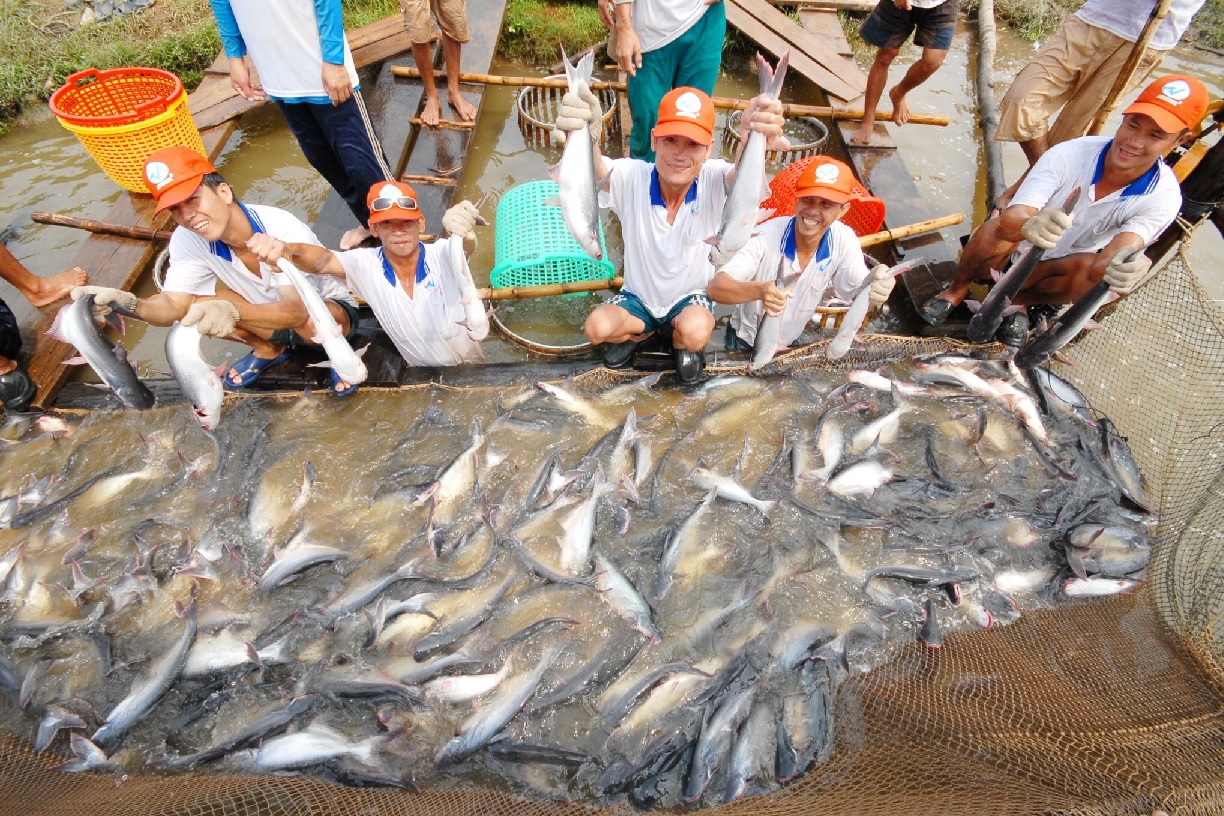 Vietnam seafood exports broke many records in 2022