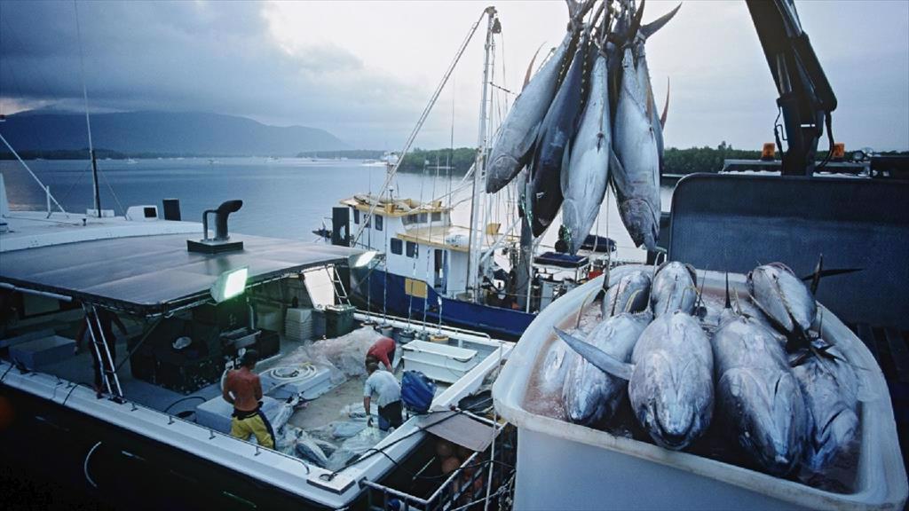 Pangasius businesses are busy to meet orders right from the beginning of 2023