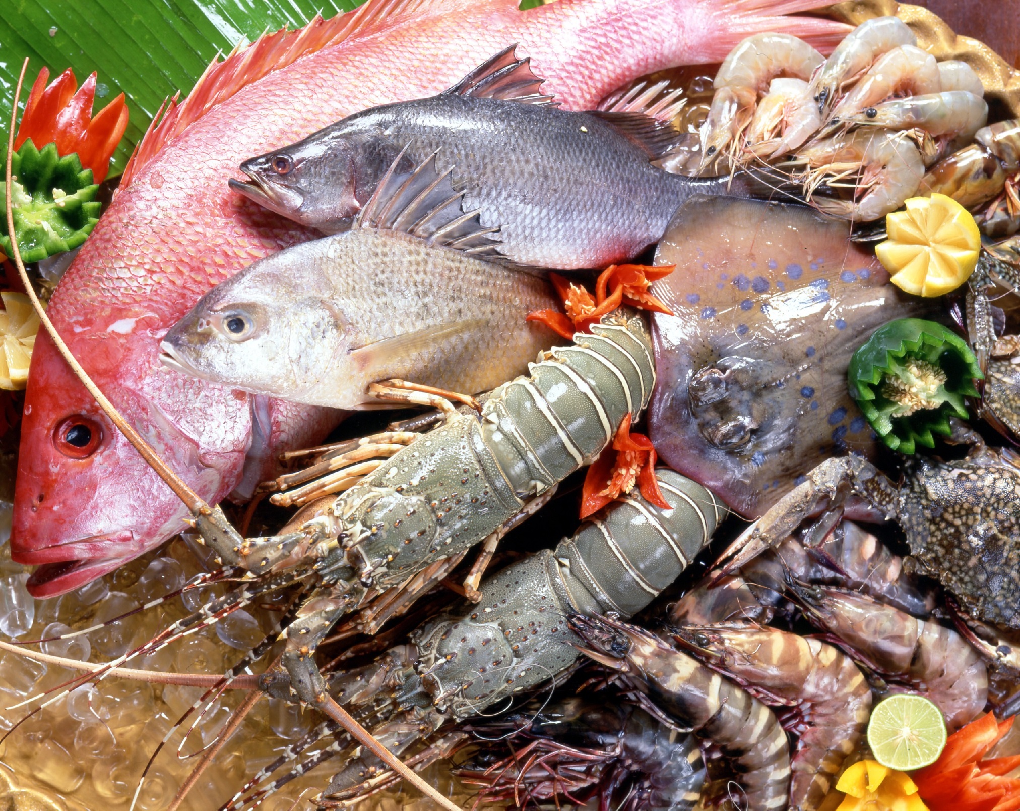 Vietnam seafood exports in January 2023 decreased by 31%, expected to recover from the second quarter